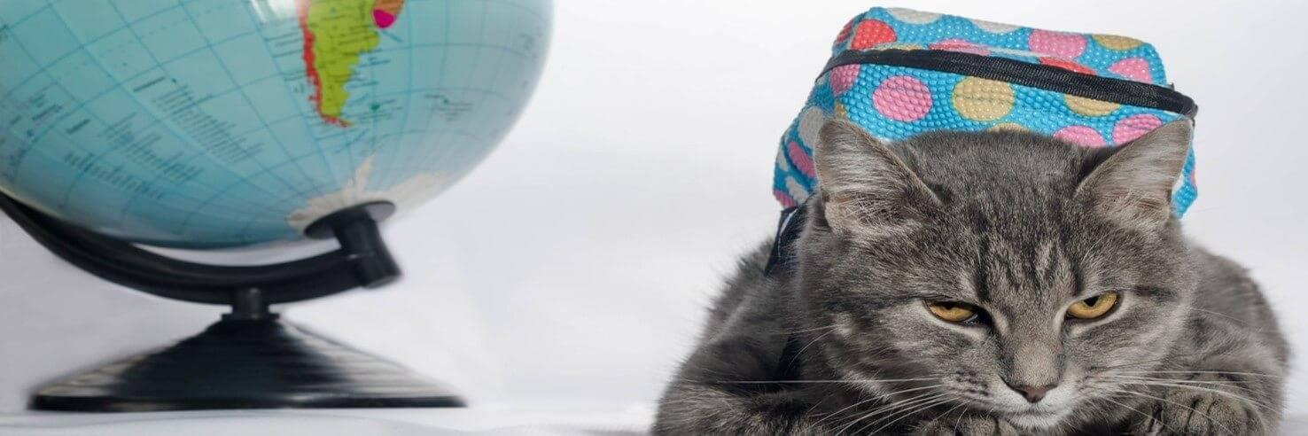 Nützliche Tips für deine Reiseplanung